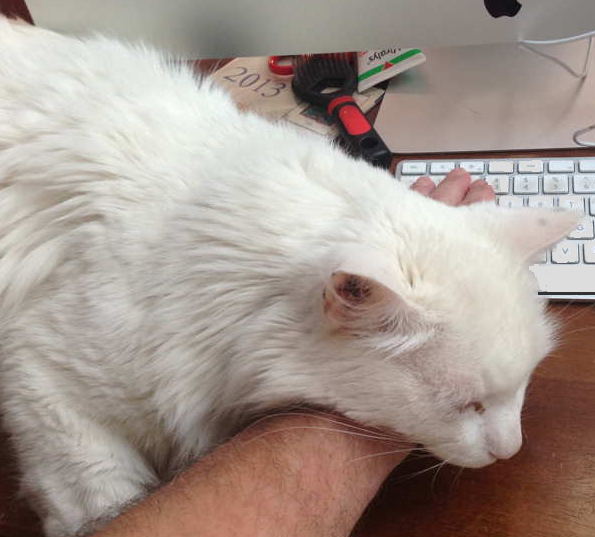 Douglas-on-arm-next-to-keyboard