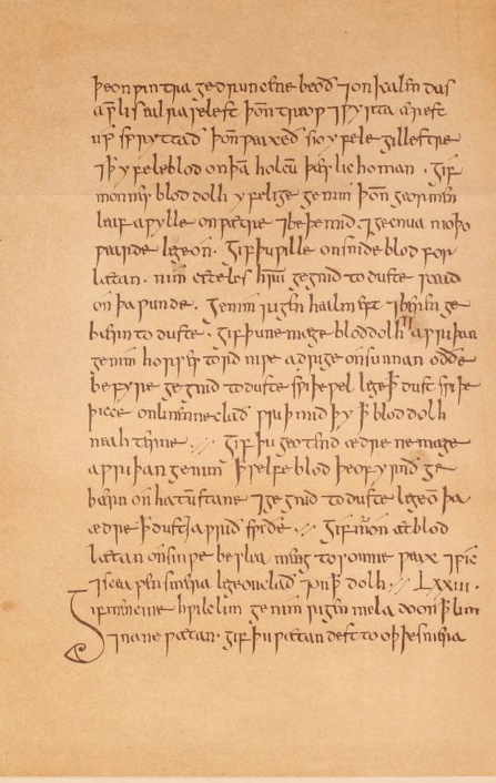 leechdoms etc. a page